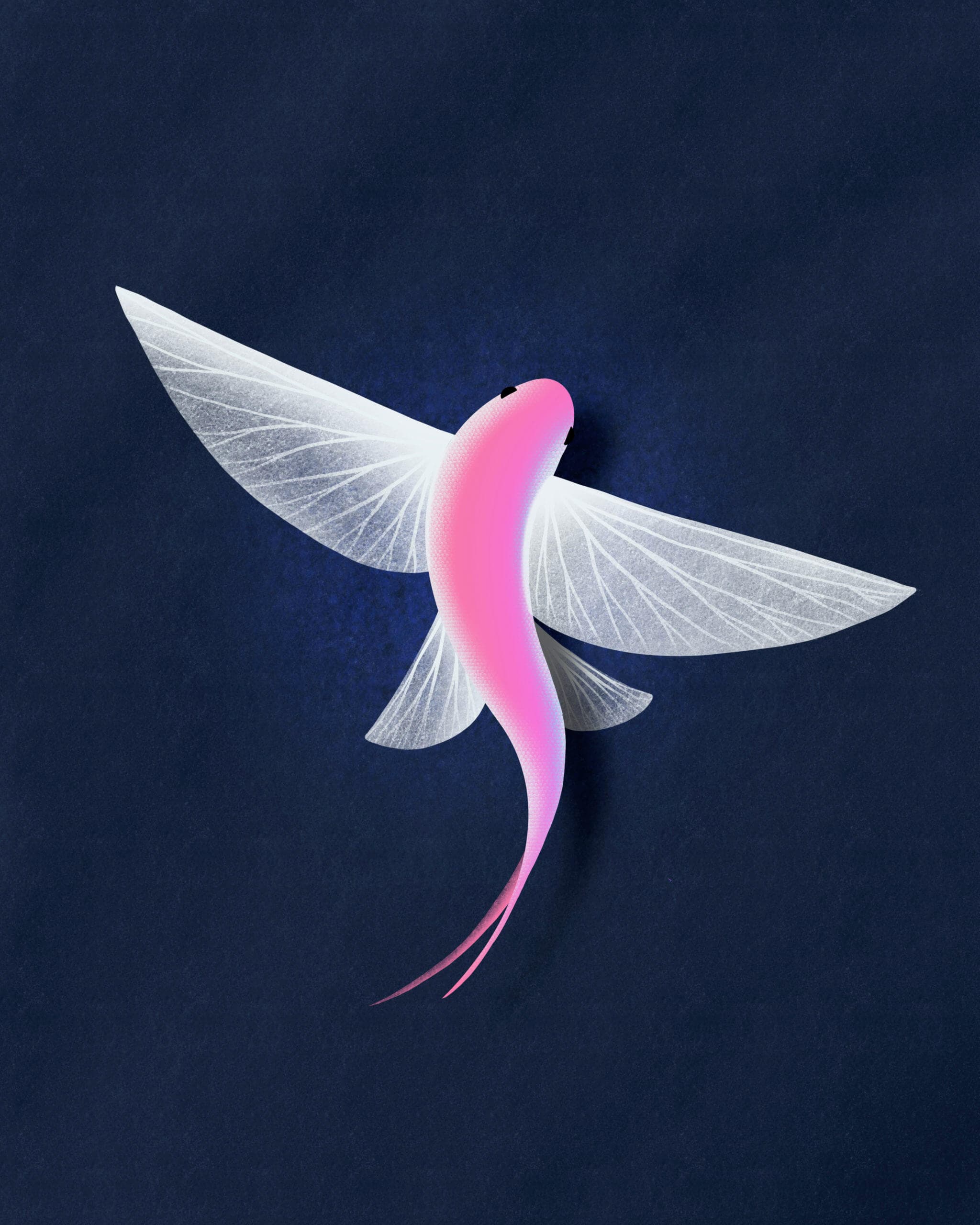 flying-fish.jpeg