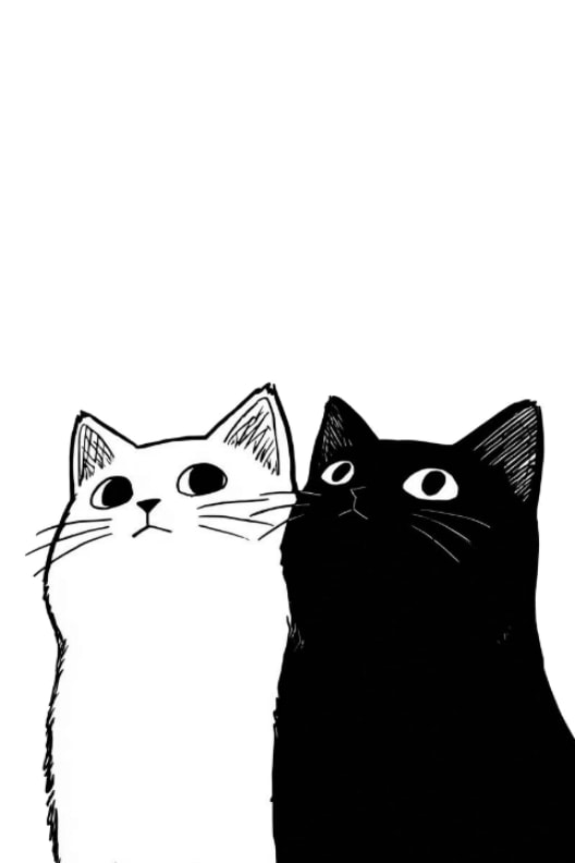 Ảnh nền 2 cats cho Xteink X3