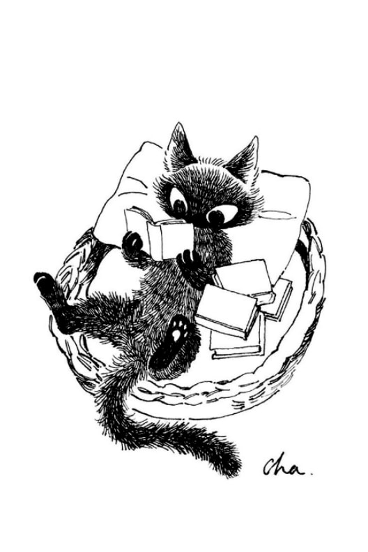 Ảnh nền cat reading books cho Xteink X3