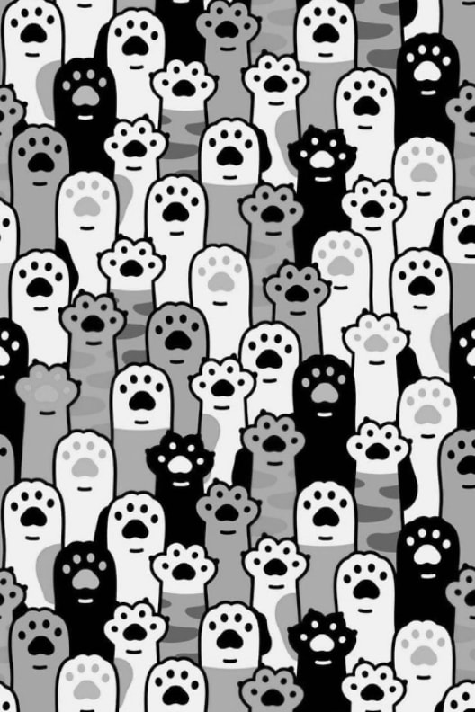 Ảnh nền paws cho Xteink X3