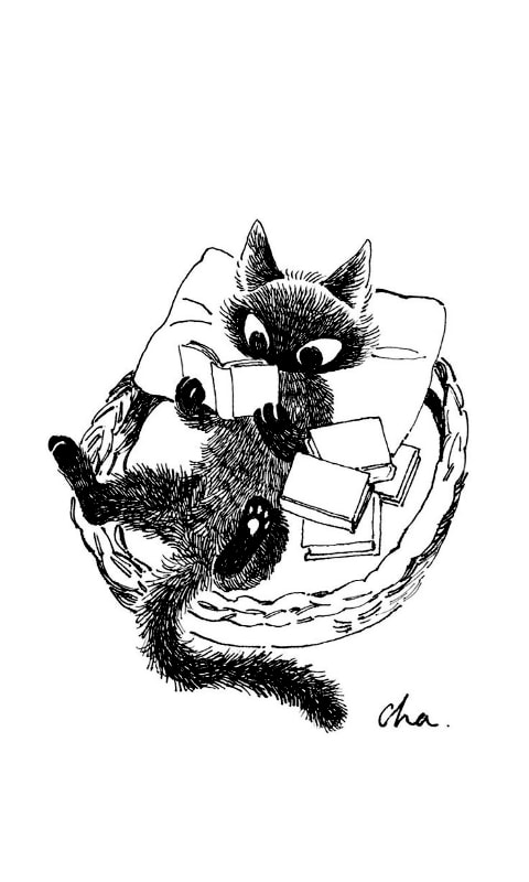 Ảnh nền cat reading books cho Xteink X4