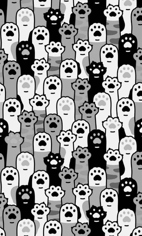 Ảnh nền paws cho Xteink X4
